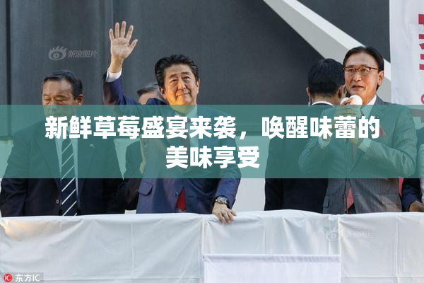 新鲜草莓盛宴来袭，唤醒味蕾的美味享受