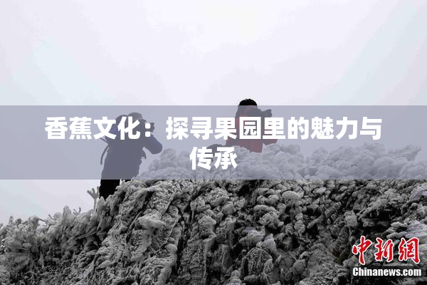 香蕉文化：探寻果园里的魅力与传承