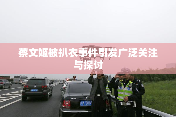 蔡文姬被扒衣事件引发广泛关注与探讨