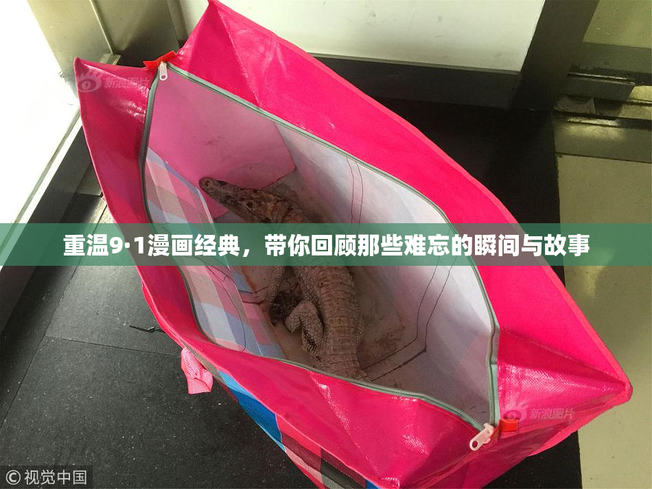 重温9·1漫画经典，带你回顾那些难忘的瞬间与故事