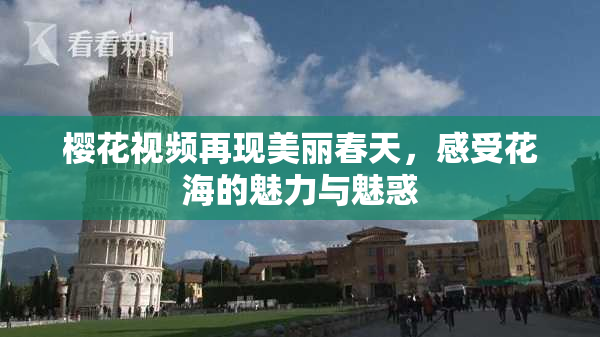 樱花视频再现美丽春天，感受花海的魅力与魅惑