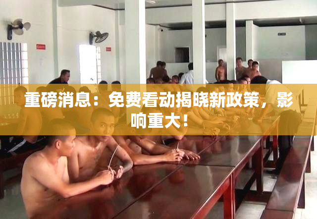 重磅消息：免费看动揭晓新政策，影响重大！