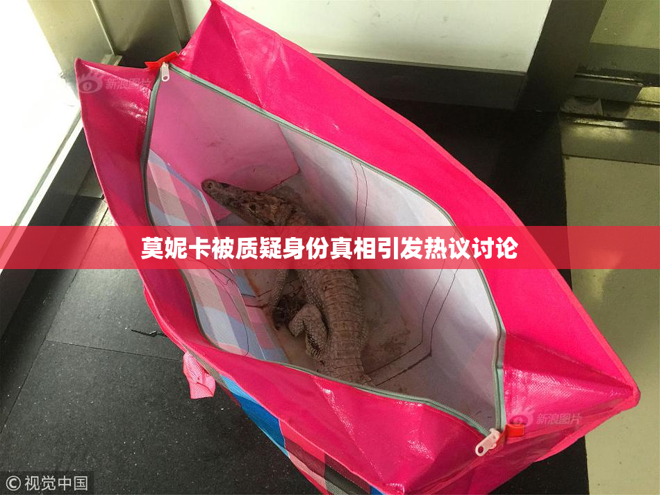 莫妮卡被质疑身份真相引发热议讨论