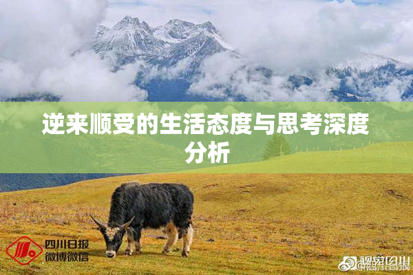 逆来顺受的生活态度与思考深度分析