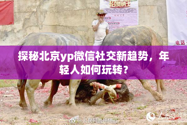 探秘北京yp微信社交新趋势，年轻人如何玩转？