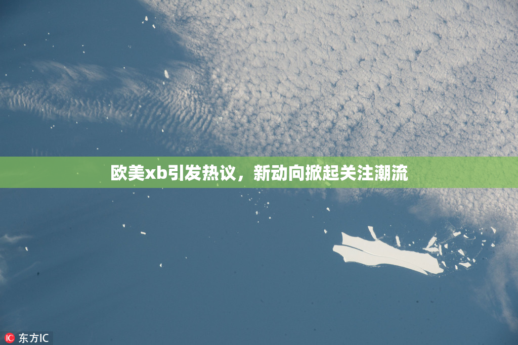 欧美xb引发热议，新动向掀起关注潮流