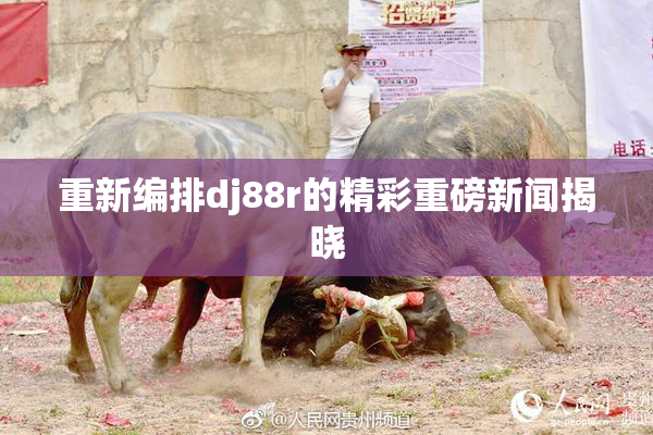 重新编排dj88r的精彩重磅新闻揭晓