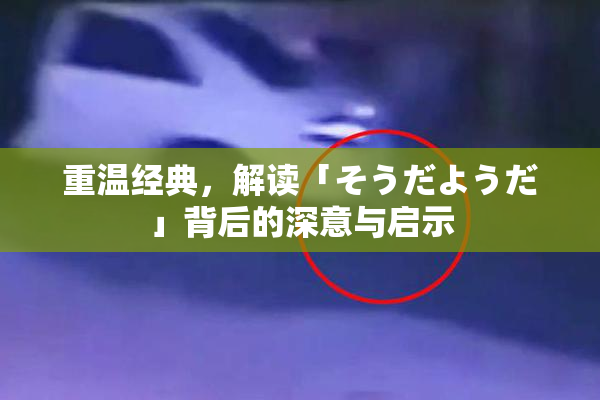 重温经典，解读「そうだようだ」背后的深意与启示