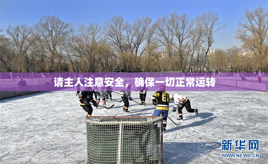 请主人注意安全，确保一切正常运转