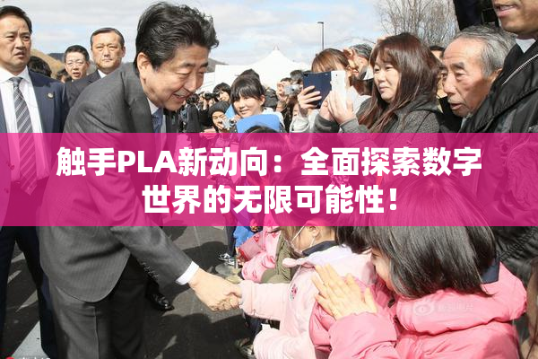 触手PLA新动向：全面探索数字世界的无限可能性！