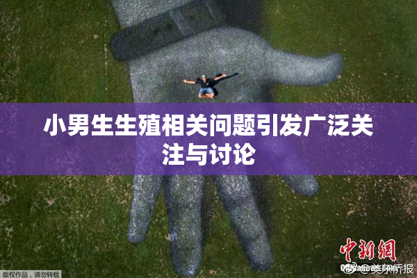 小男生生殖相关问题引发广泛关注与讨论