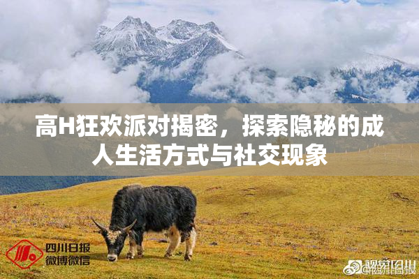 高H狂欢派对揭密，探索隐秘的成人生活方式与社交现象