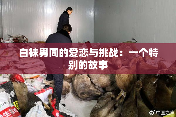 白袜男同的爱恋与挑战：一个特别的故事