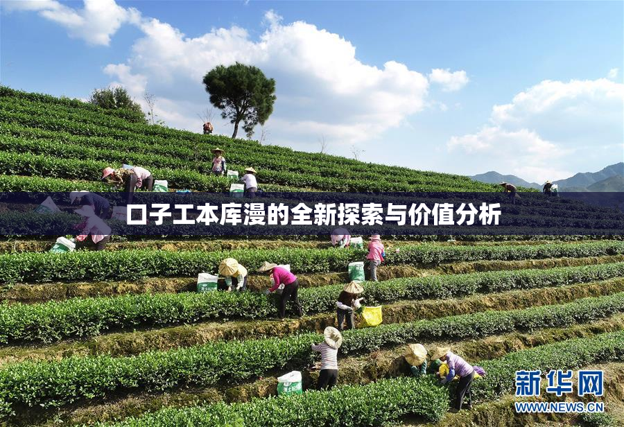 口子工本库漫的全新探索与价值分析