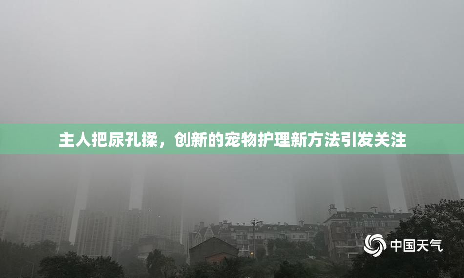 主人把尿孔揉，创新的宠物护理新方法引发关注