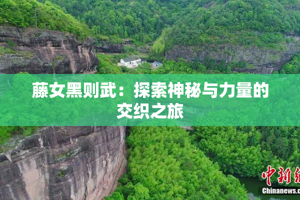 藤女黑则武：探索神秘与力量的交织之旅