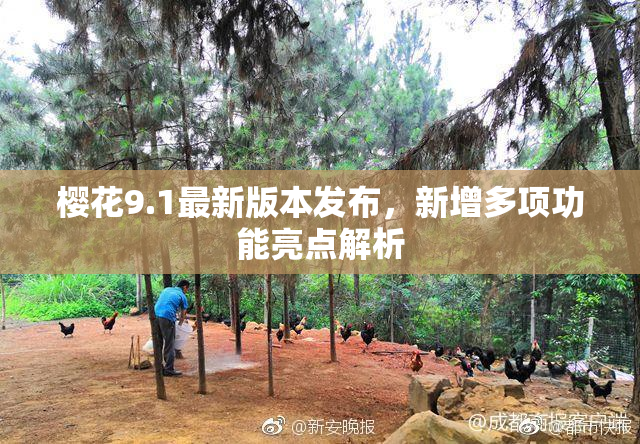 樱花9.1最新版本发布，新增多项功能亮点解析
