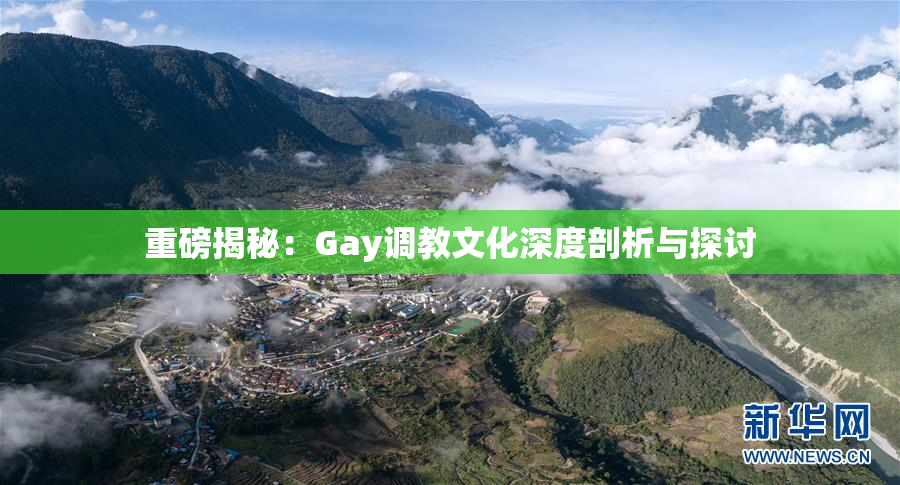 重磅揭秘：Gay调教文化深度剖析与探讨