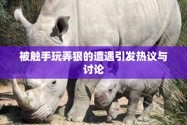 被触手玩弄狠的遭遇引发热议与讨论