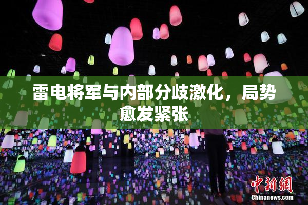 雷电将军与内部分歧激化，局势愈发紧张