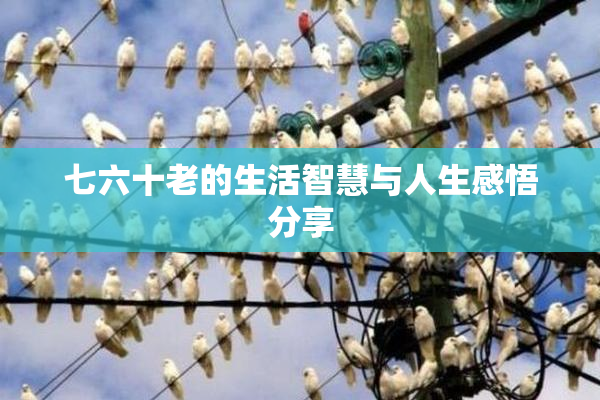 七六十老的生活智慧与人生感悟分享