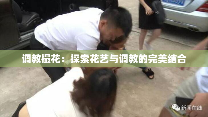调教撮花：探索花艺与调教的完美结合