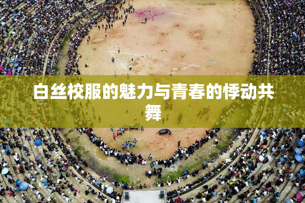 白丝校服的魅力与青春的悸动共舞
