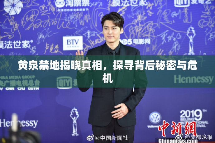 黄泉禁地揭晓真相，探寻背后秘密与危机