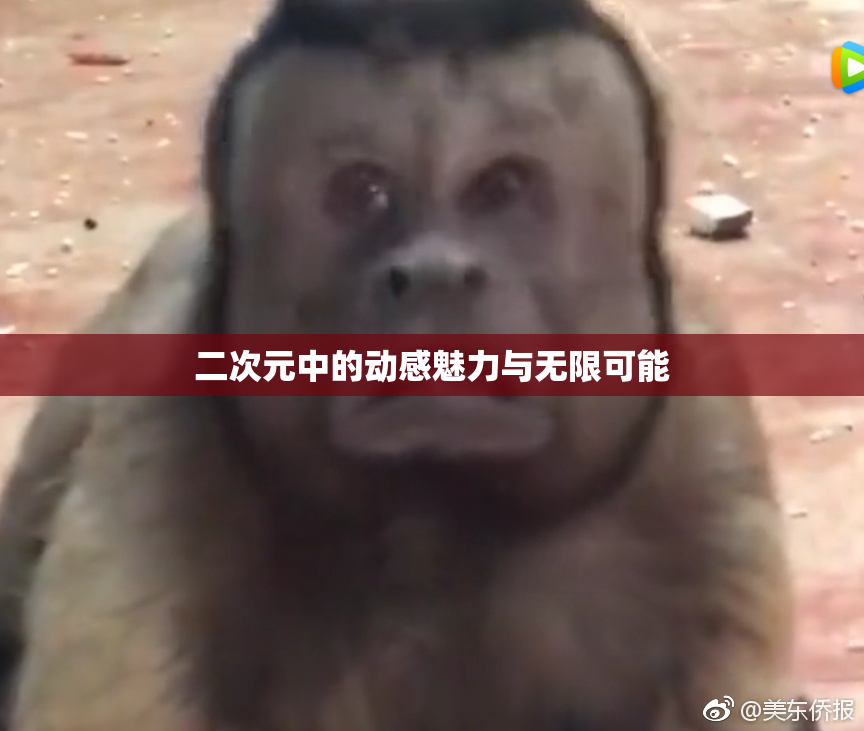 二次元中的动感魅力与无限可能