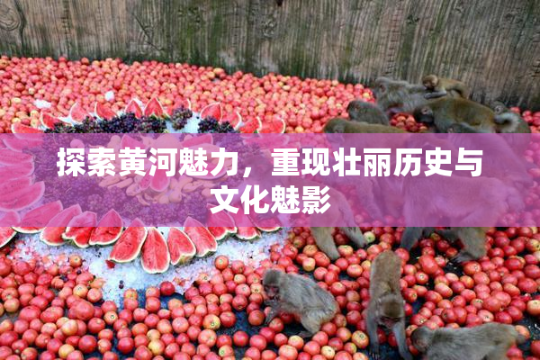探索黄河魅力，重现壮丽历史与文化魅影