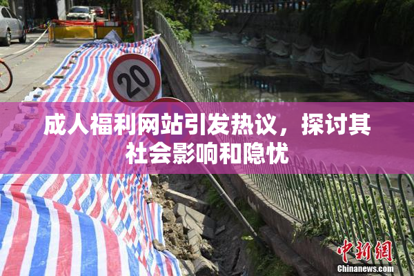 成人福利网站引发热议，探讨其社会影响和隐忧