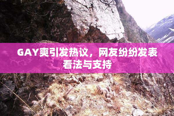 GAY爽引发热议，网友纷纷发表看法与支持