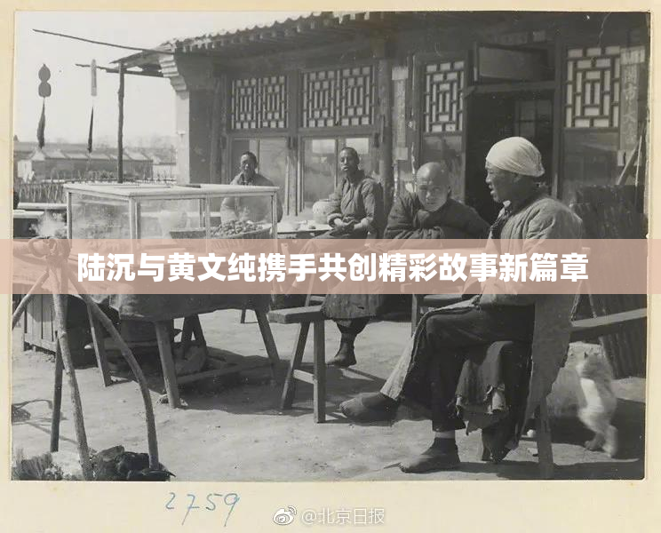 陆沉与黄文纯携手共创精彩故事新篇章