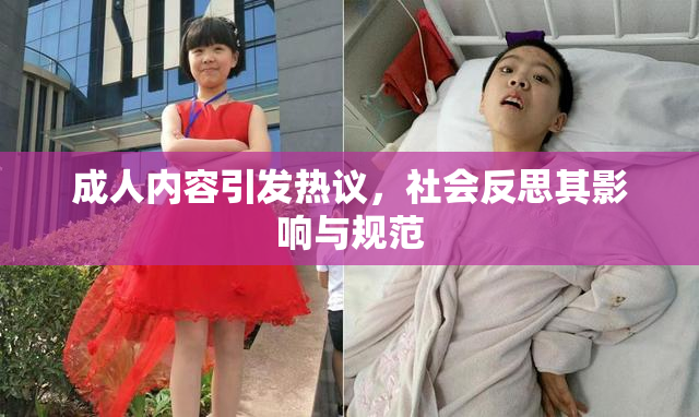 成人内容引发热议，社会反思其影响与规范