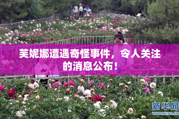 芙妮娜遭遇奇怪事件，令人关注的消息公布！