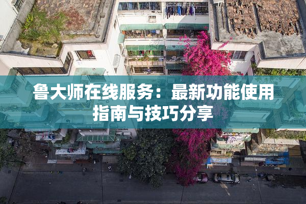 鲁大师在线服务：最新功能使用指南与技巧分享