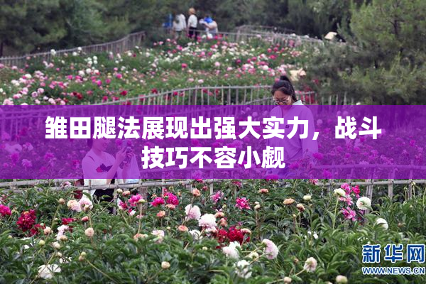 雏田腿法展现出强大实力，战斗技巧不容小觑