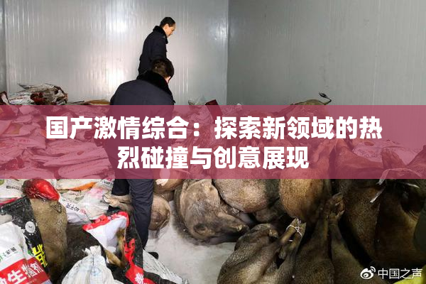 国产激情综合：探索新领域的热烈碰撞与创意展现