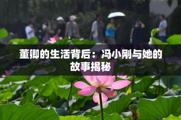 董卿的生活背后：冯小刚与她的故事揭秘