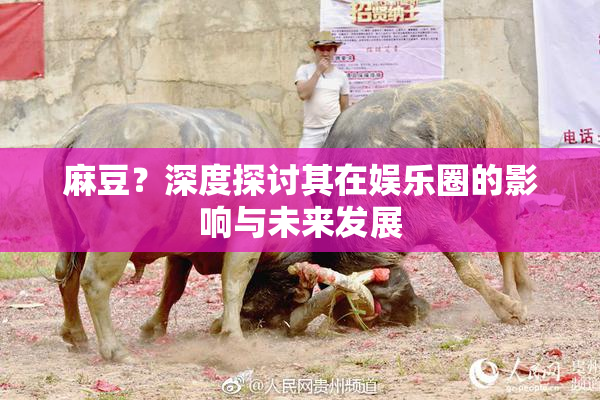 麻豆？深度探讨其在娱乐圈的影响与未来发展