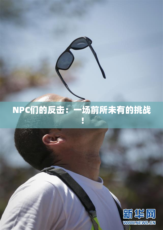 NPC们的反击：一场前所未有的挑战！