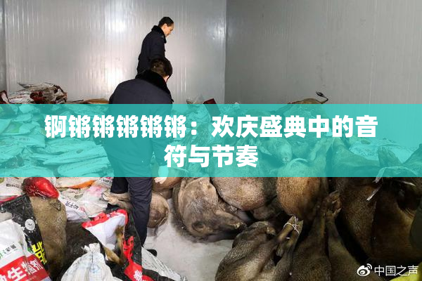 锕锵锵锵锵锵：欢庆盛典中的音符与节奏