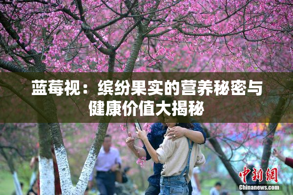 蓝莓视：缤纷果实的营养秘密与健康价值大揭秘