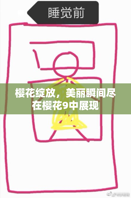 樱花绽放，美丽瞬间尽在樱花9中展现