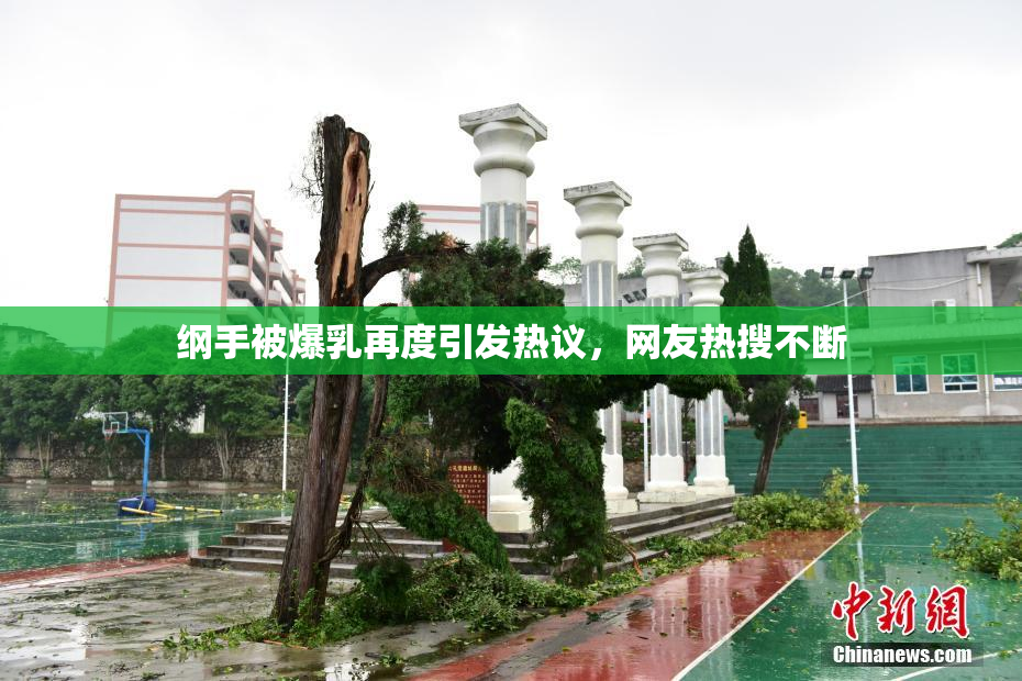 纲手被爆乳再度引发热议，网友热搜不断
