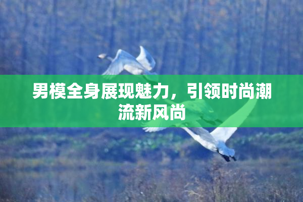 男模全身展现魅力，引领时尚潮流新风尚