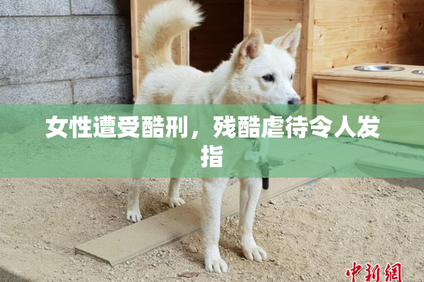 女性遭受酷刑，残酷虐待令人发指