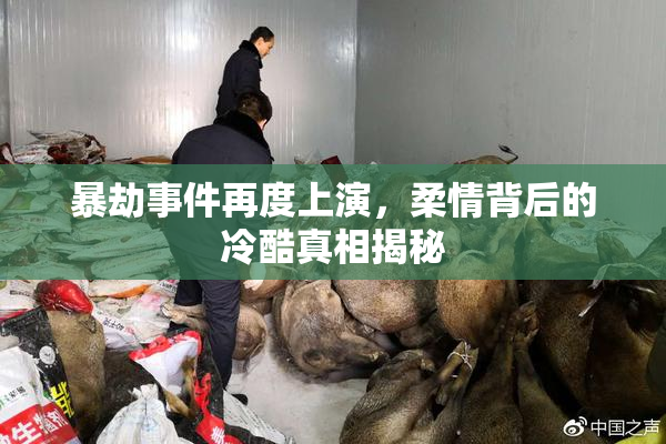 暴劫事件再度上演，柔情背后的冷酷真相揭秘