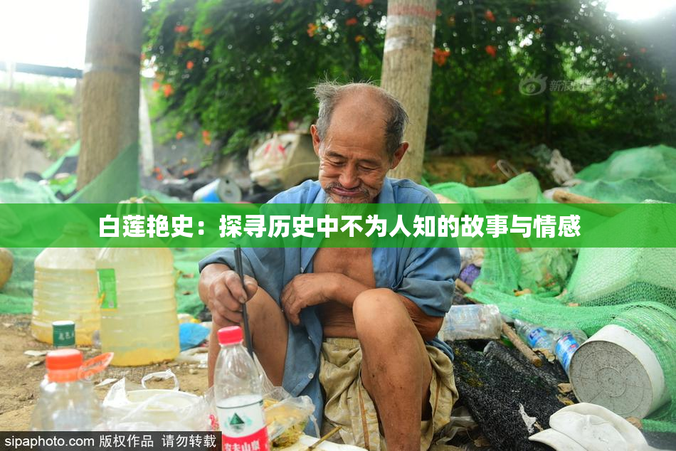 白莲艳史：探寻历史中不为人知的故事与情感