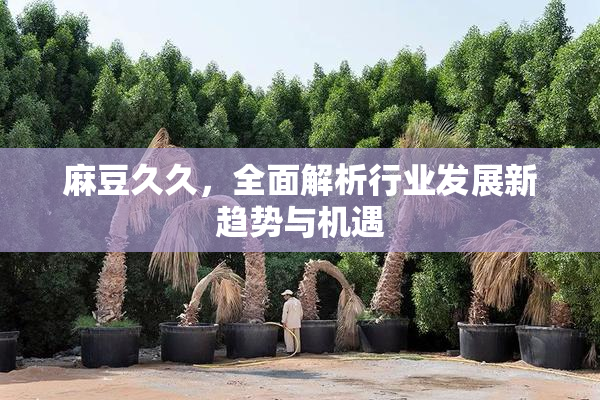 麻豆久久，全面解析行业发展新趋势与机遇